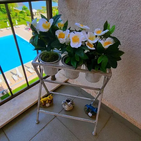 Sunrise 아파트호텔 *